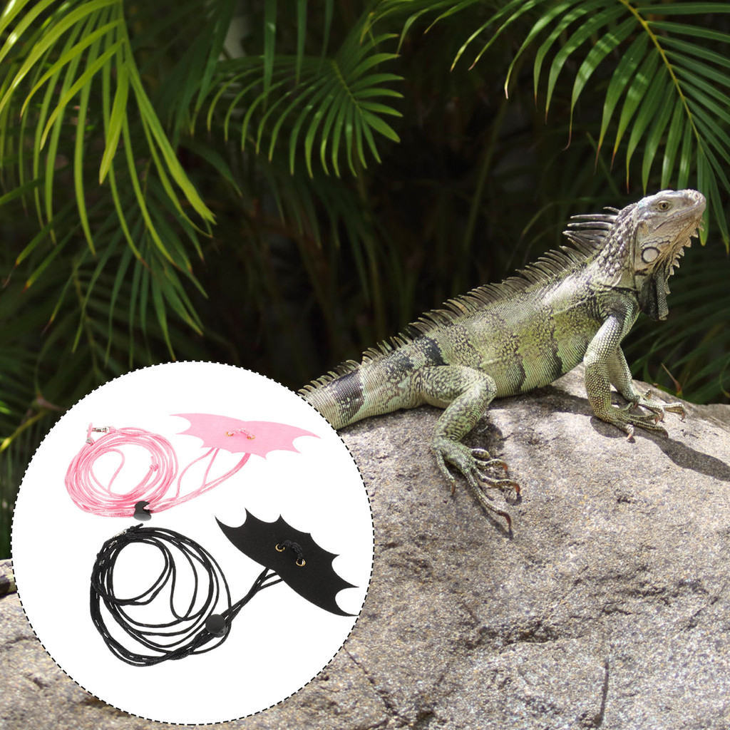 2 Sets Lizard Leash Bearded Dragon Agama Accessories Barbudo Reptile Harness Turtle Strap Belt