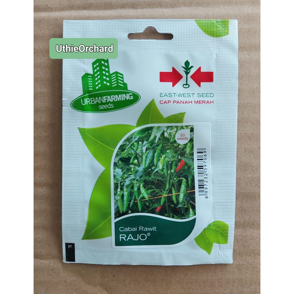 Benih Panah Merah – Cabai Rawit Rajo