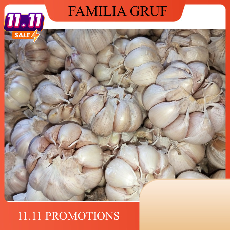 

BAWANG PUTIH BERSIH 1 KG PILIHAN TERMURAH