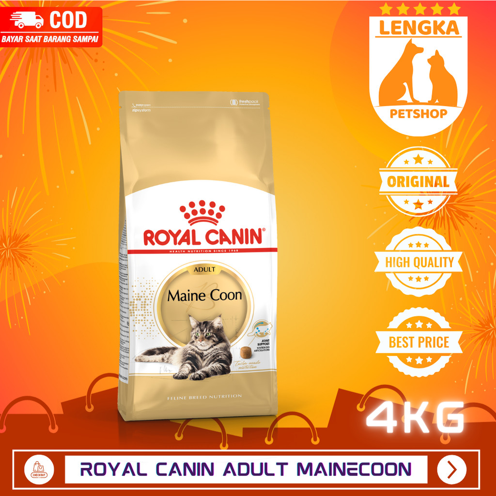 ROYAL CANIN MAINE COON ADULT 4KG