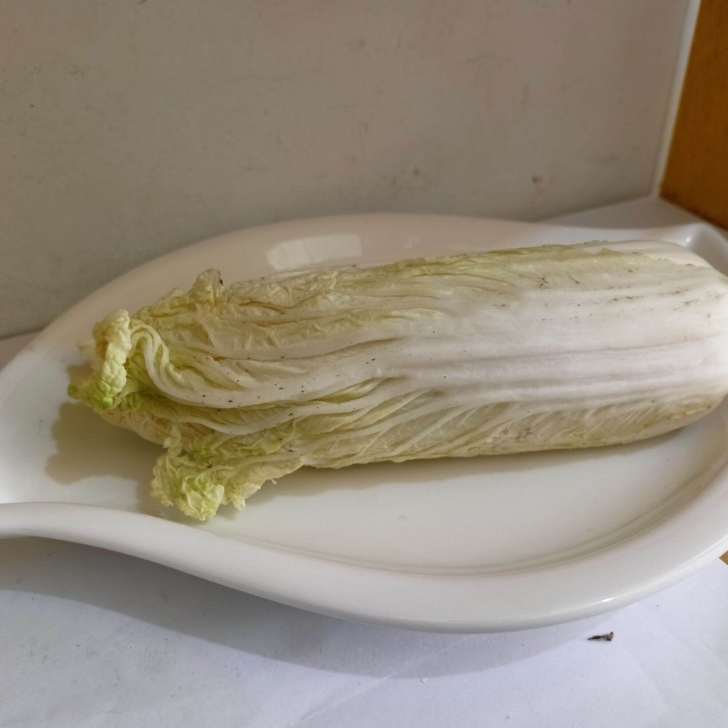 

Sawi putih siap pakai untuk segala kebutuhan memasak maupun di jadikan lalap dan masakan lain sesuai selera anda
