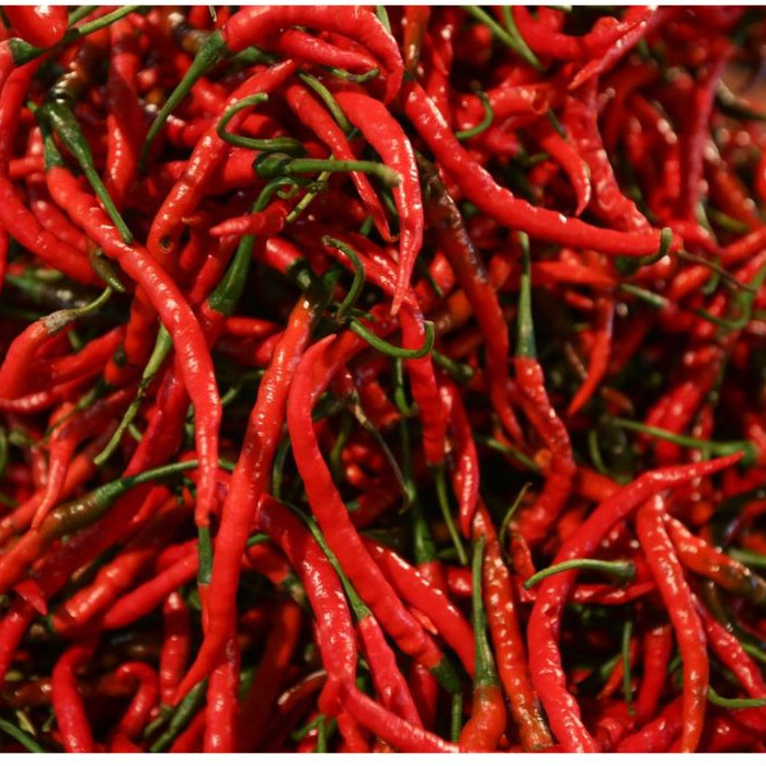 

Cabe Merah Keriting; 100 Gr