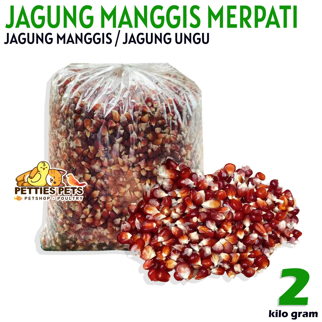 PTS JAGUNG MANGGIS MERPATI 2 KG ATAU JAGUNG UNGU KRISTAL PAKAN MERPATI DORO