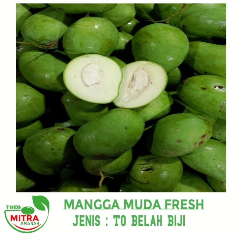 

TEBUS MURAH PAKET MANGGA MUDA FRESH CAMPUR 1 Dus 800gr TERBAIK