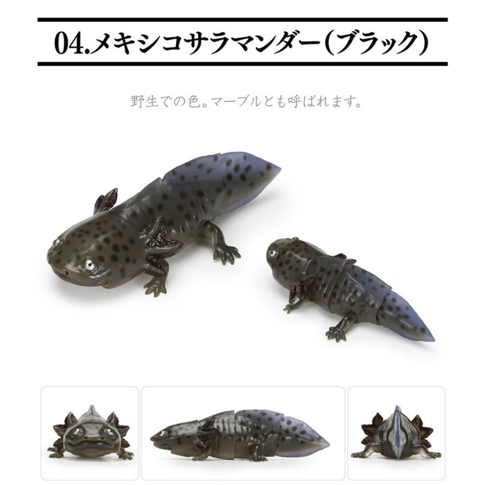 IKIMONO Repti Giant Salamander axolotl figure bandai gashapon figure - Black
