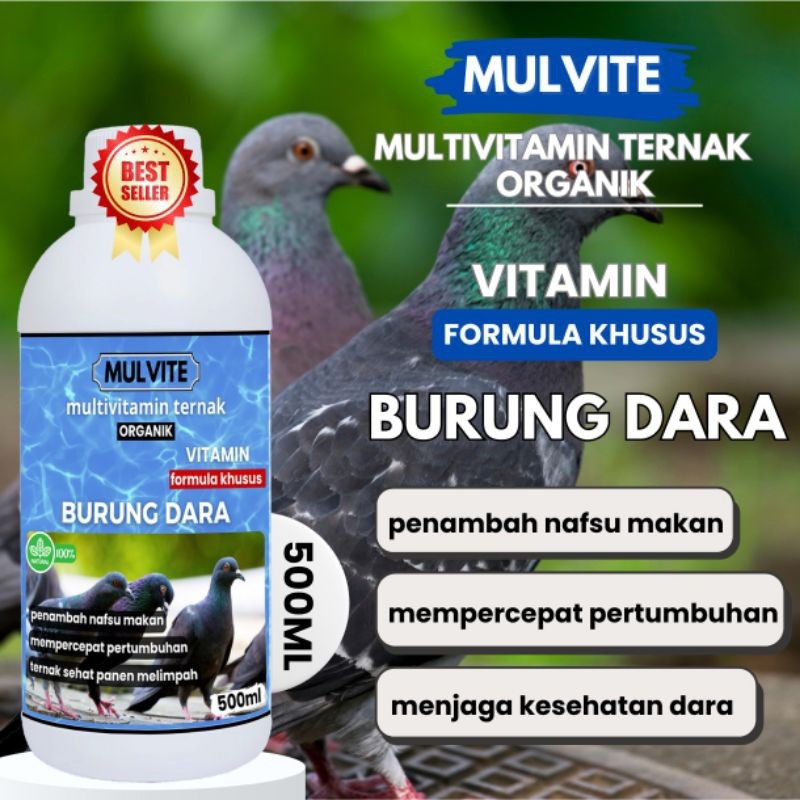 MULVITE Vitamin Burung Dara Agar Cepat Bertelur Obat Betina Anti Macet Nelur Untuk Ternak Breeding B