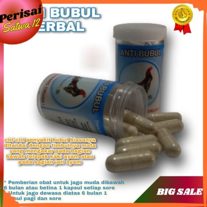 OBAT BUBUL KAPSUL HERBAL AMPUH MENGOBATI BUBUL KAKI AYAM DARI DALAM