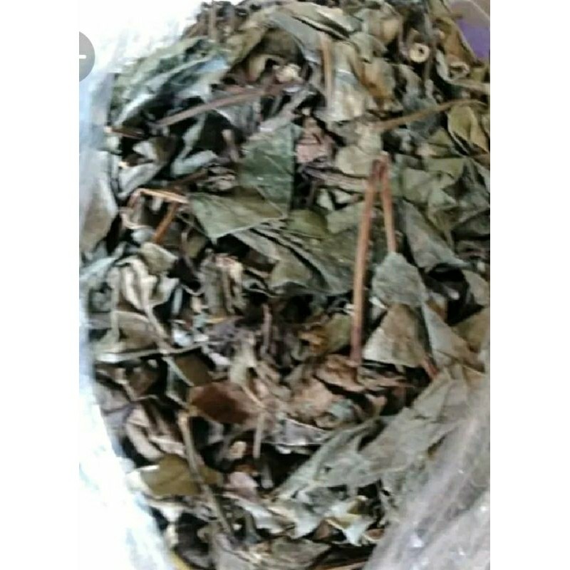 

Daun sirih kering 500gr /250gr / 100gr asli NIZAM STORE ID