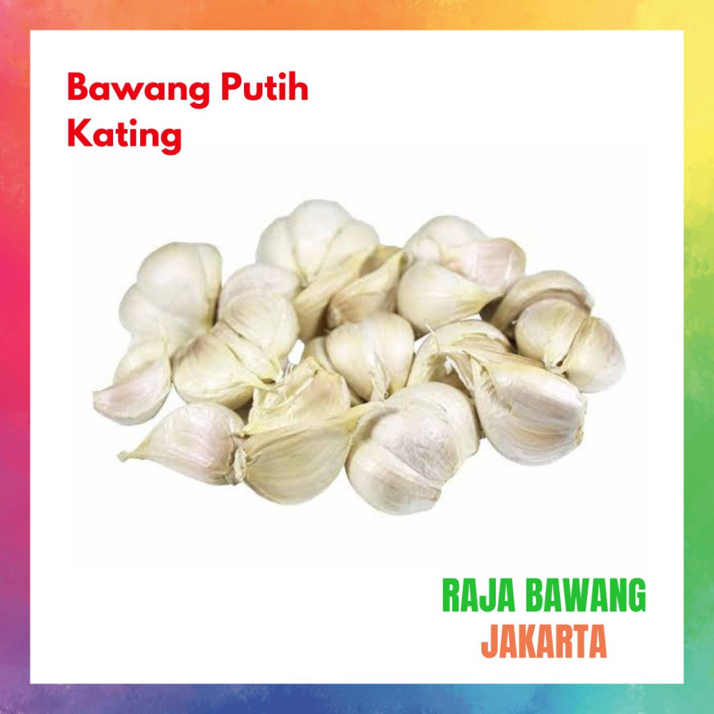 

Bawang Putih Kating Sudah Bersih Pilihan (COD)