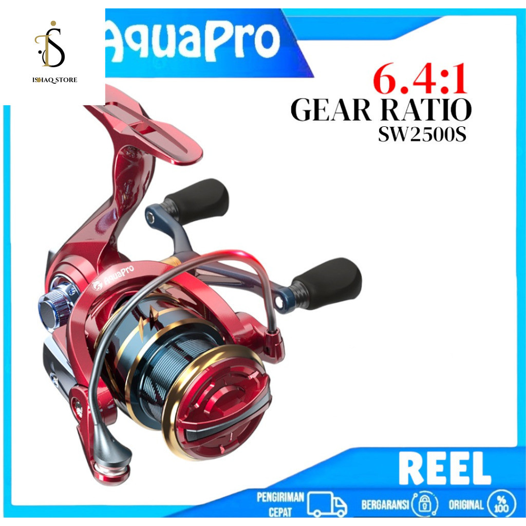 Qr) C Screw in Reel Pancing Fishing Reel ALL WS2500 Fishing Reel CN6.2:1 Gear Ratio 12KG Max Drag Do