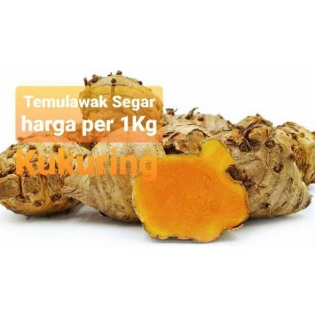 

TEMULAWAK ATAU KONENG GEUDE SEGAR 1KG