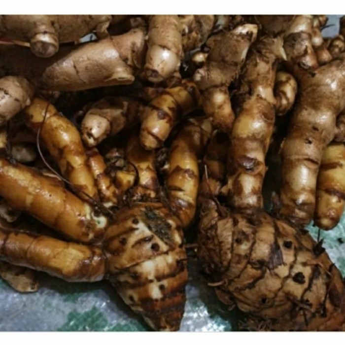 

temu hitam atau temu ireng segar 1 kg