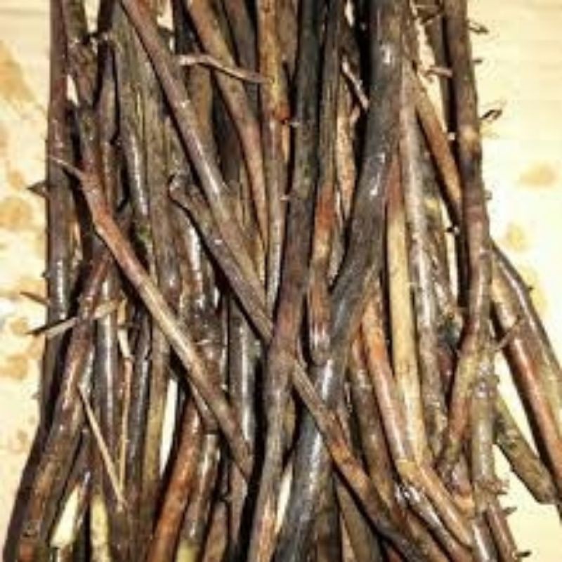 

Akar aren / akar kawung sega/500grm