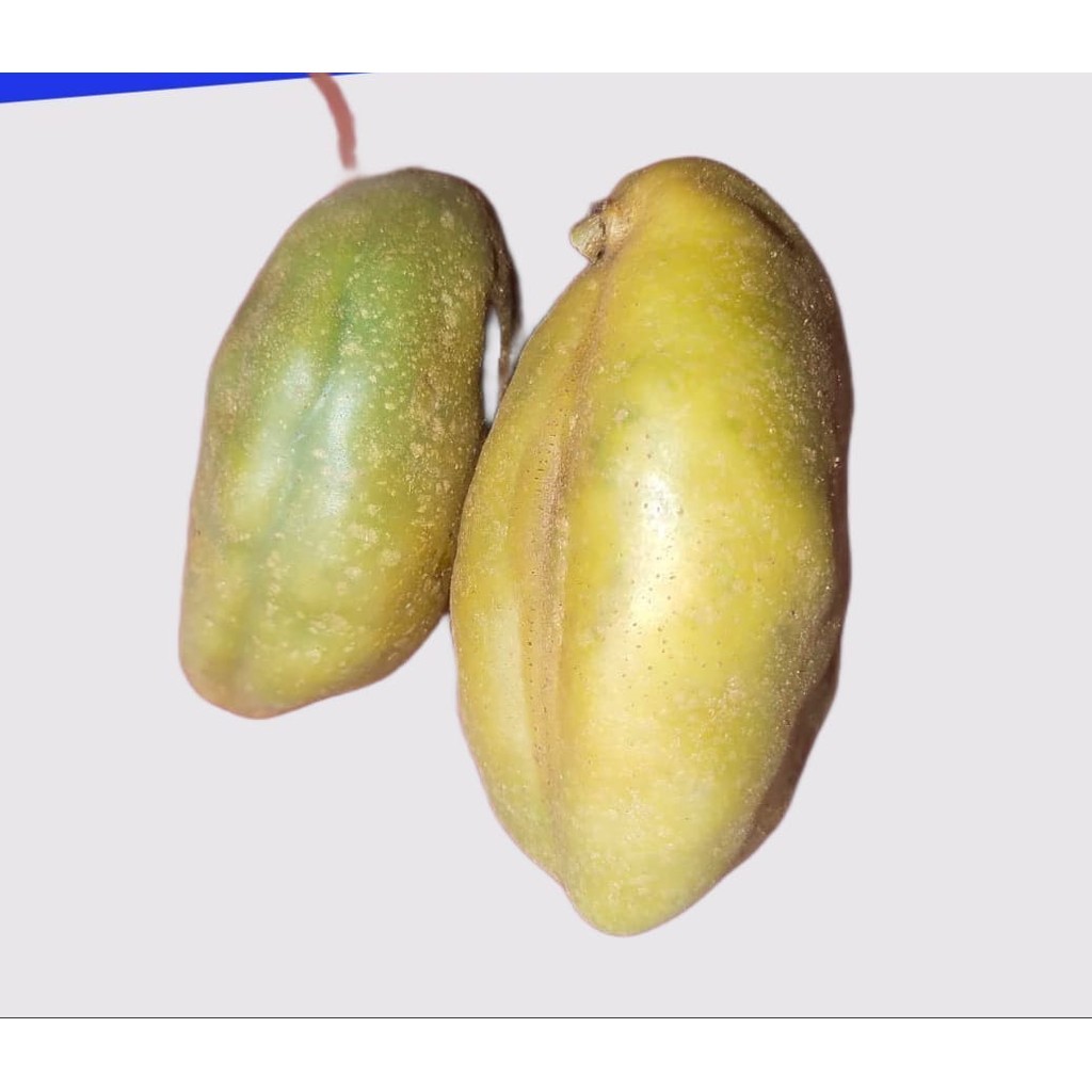 

Promo Buah Nam-Nam - Pokih Buah Lainnya Terbaik