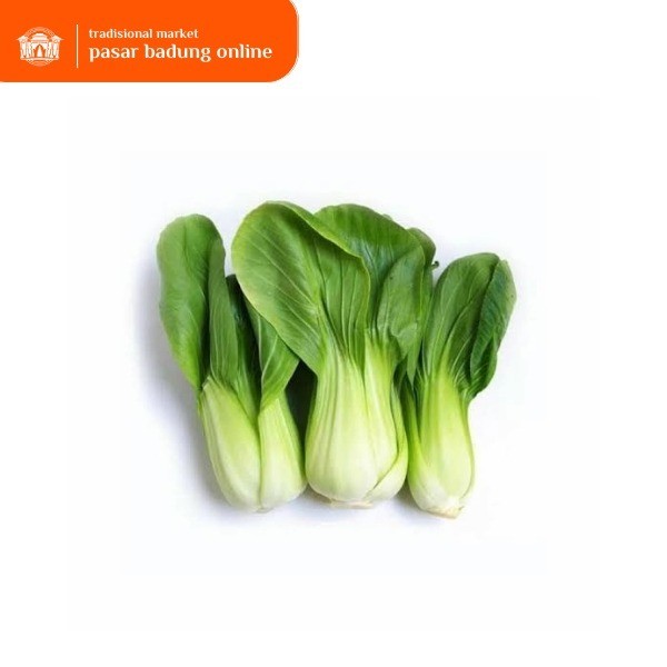 

sayur pakcoy segar 500g