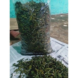 

Daun belalai gajah kering siap konsumsi - daun kalingsir obat herbal alami