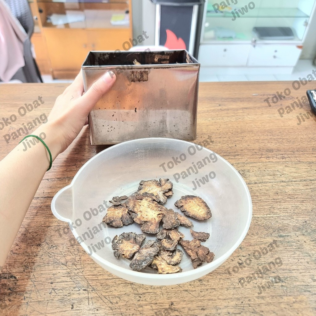 

Chuan Xiong Sichuan Lovage Cuan Kiung Fresh Original [ 川芎 ] - Rhizoma Chuanxiong