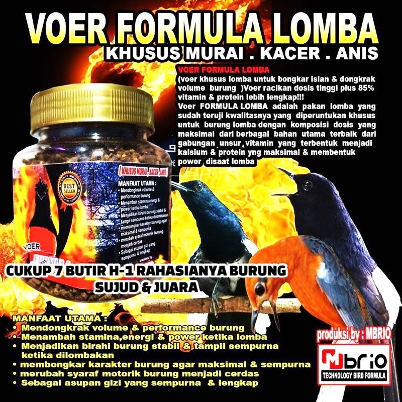 VOER FORMULA LOMBA GACOR KONSLET Pakan Burung Makanan Burung Murai dan Kacer
