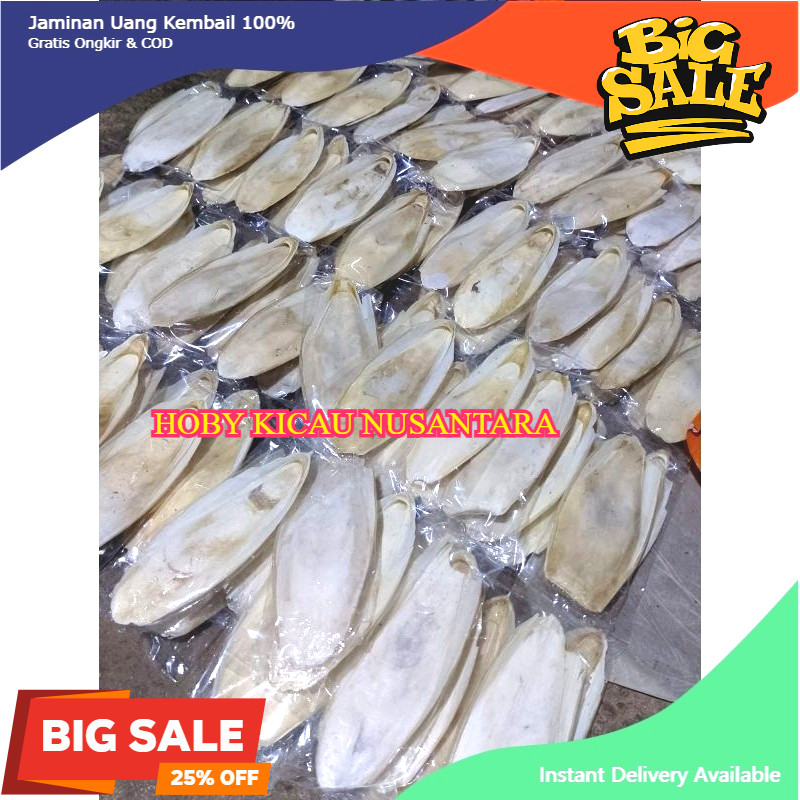 

Tulang Sotong Cumi Ukuran Sedang Jumbo Cangkang Kalsium