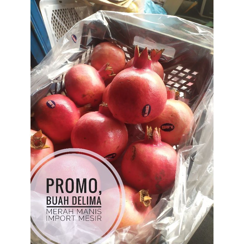 

BUAH DELIMA MERAH IMPORT INDIAN POMEGRANATE UDBUAH 3 SAUDARA