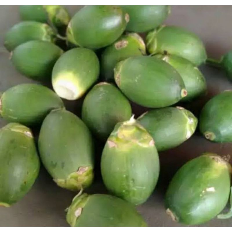 

Promo buah pinang muda segar 1KG