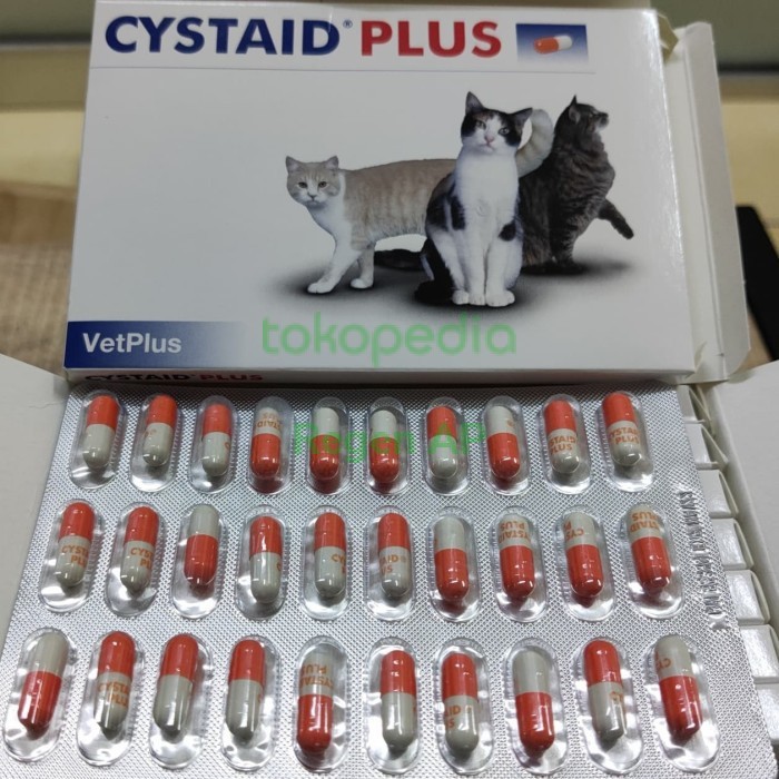Cystaid Plus