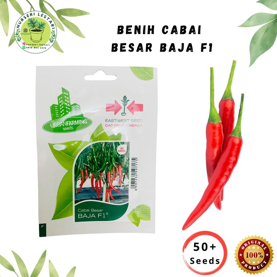 Benih Biji Bibit Cabe Cabai Besar Baja F1 - Cap Panah Merah