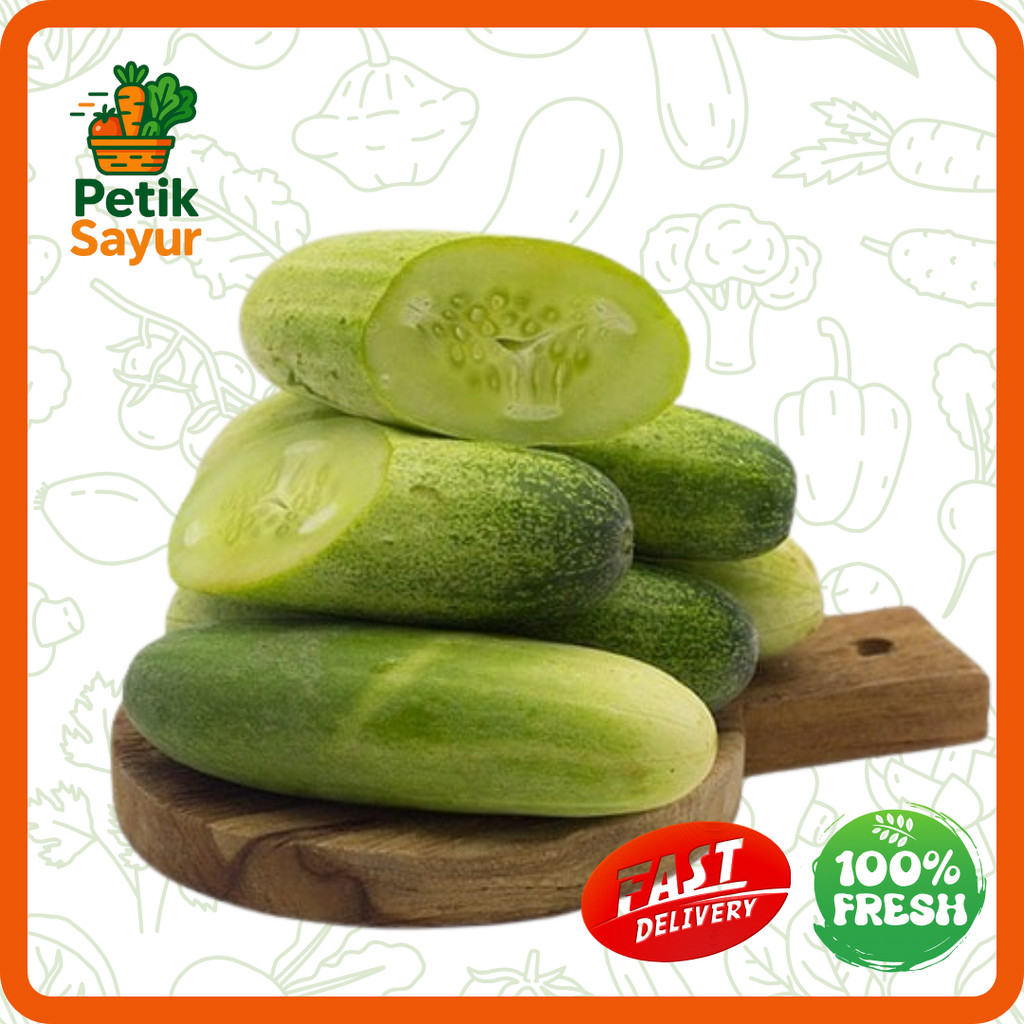 

Timun Konvensional 1 kg PetikSayur