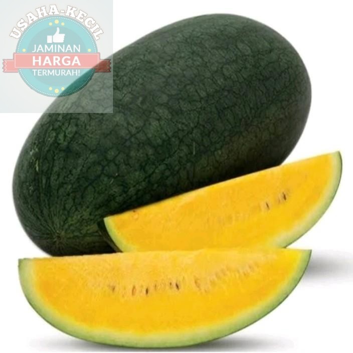 20+  Benih Semangka Kuning Inul F1 Super Siap Tanam