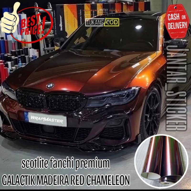 Sticker Scotlite Bunglon Hitam Lembayung Merah Lebar 50 cm Stiker Skotlet Motor dan Mobil Chameleon 