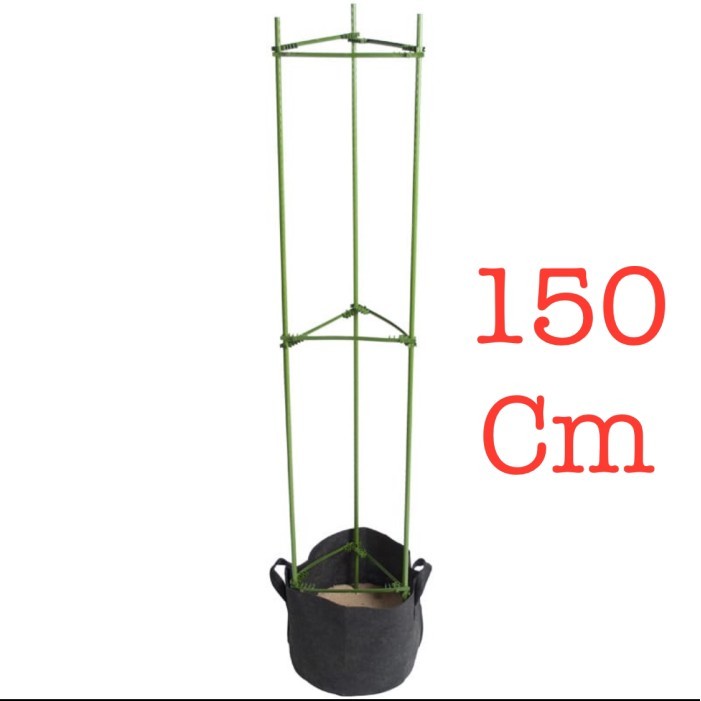 Cagak Ajir 150Cm Hiasan Tanaman Rambat Tomat Sandaran Penyangga Plant Support Tower Stand For Flower