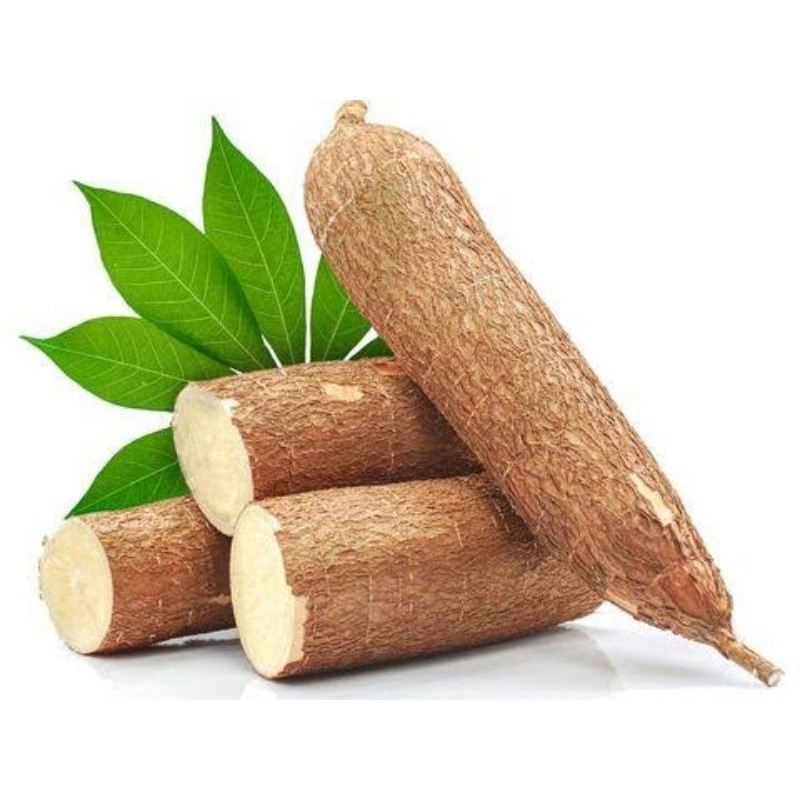 

Promo singkong sayur segar 1kg
