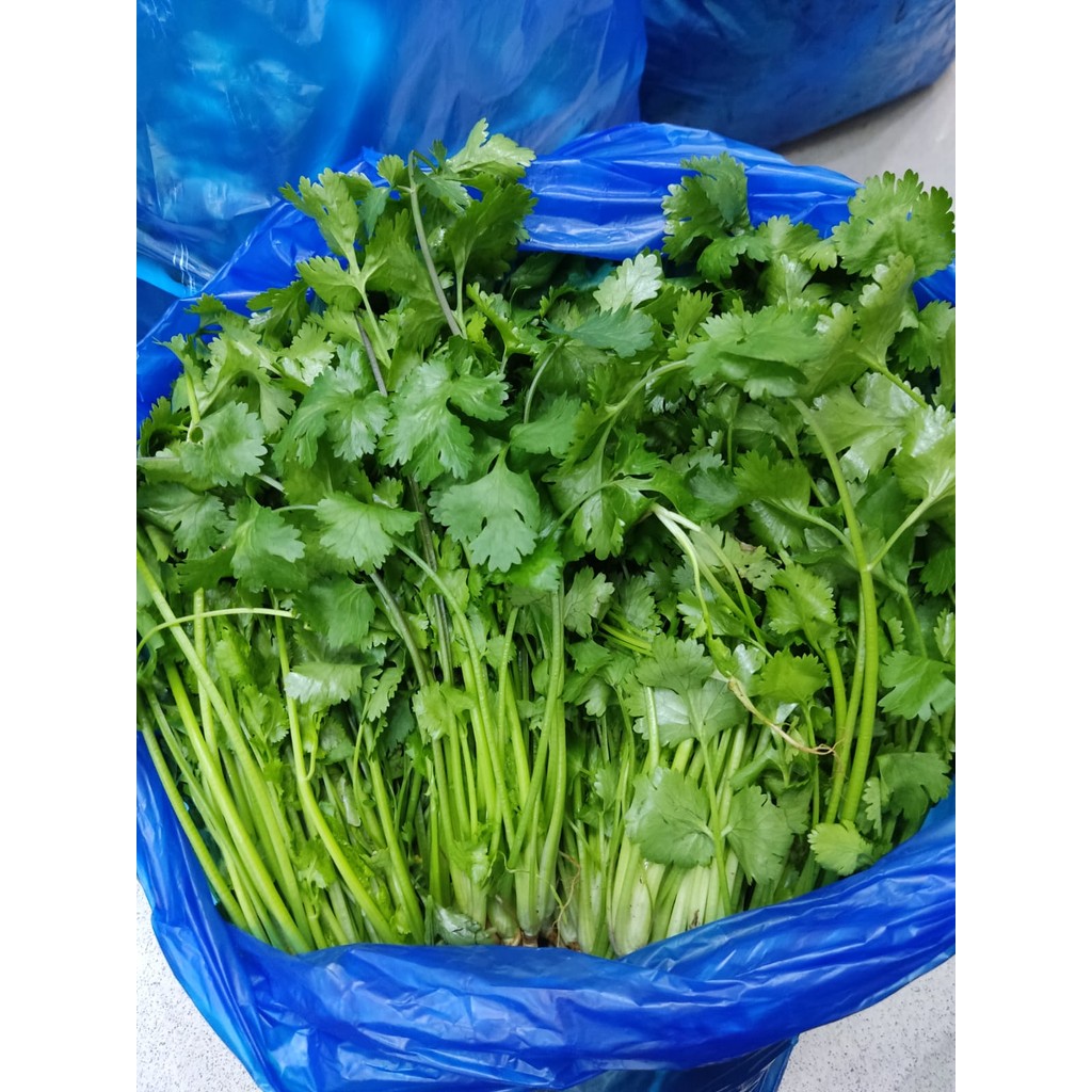 

ASBA SAYUR KUSBARA 200GR