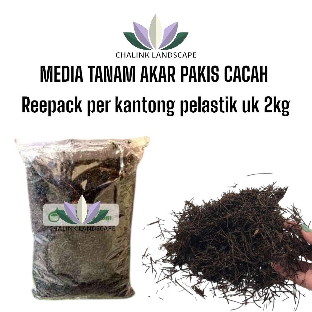 Akar Pakis Cacah Media Tanam Anggrek / Media Tanam Akar Pakis Cacah / Akar Pakis / Media Tanam Aglon