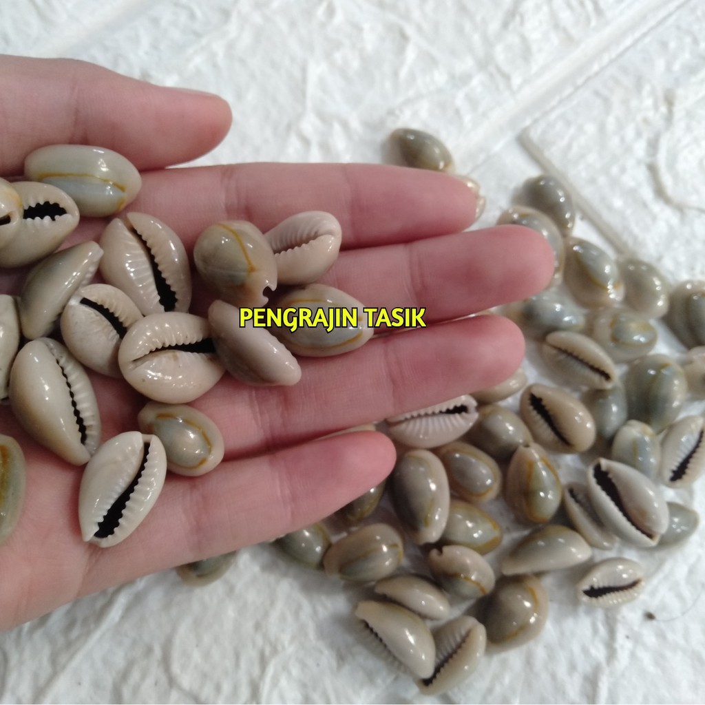 PUJEGANSHOP Biji Kerang Congklak Isi 110pcs Biji Kuwuk Congklak / Kuwuk Bekel Biji Kerang Murah