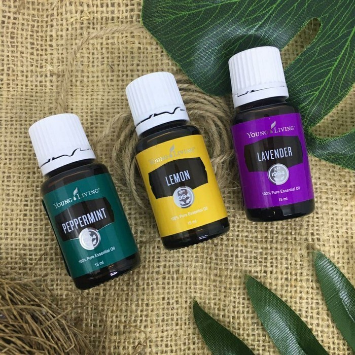 young living paket trio oil peppermint lemon lavender 15ml young oil living
