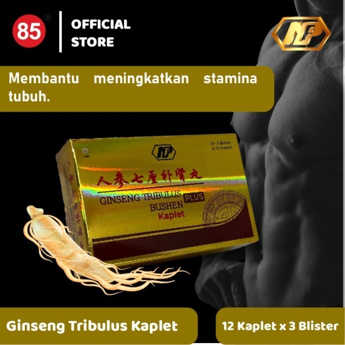 

Nan Fung - Ginseng Tribulus Bushen Plus Kaplet untuk kesehatan Ginjal