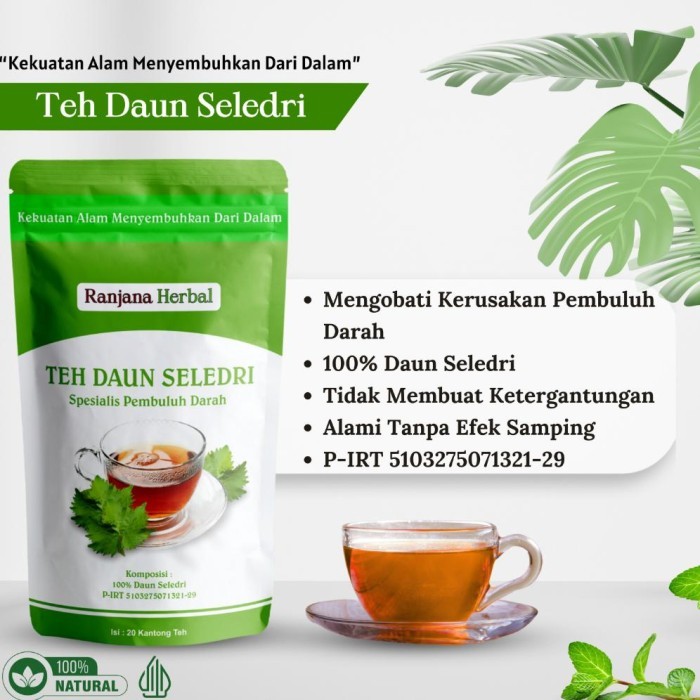 

Teh Daun Seledri Spesialis Pembuluh Darah 100 Alami 100 Sembuh