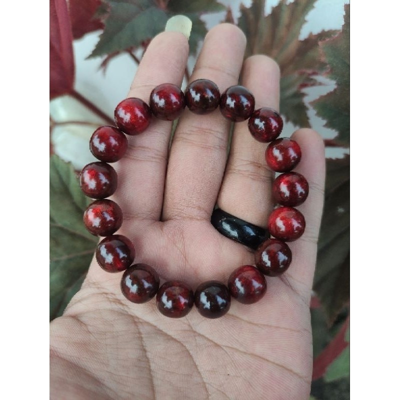 GELANG TASBIH FOSIL AKAR BAHAR ASLI MERAH DELIMA TEMBUS CAHAYA