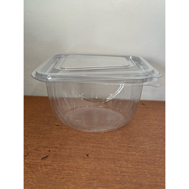 CPS2 - Mika MB 100 Mika Salad Puding Buah Mika Nasi Box  uk.500ml Mika puding kue cake cookies MMP