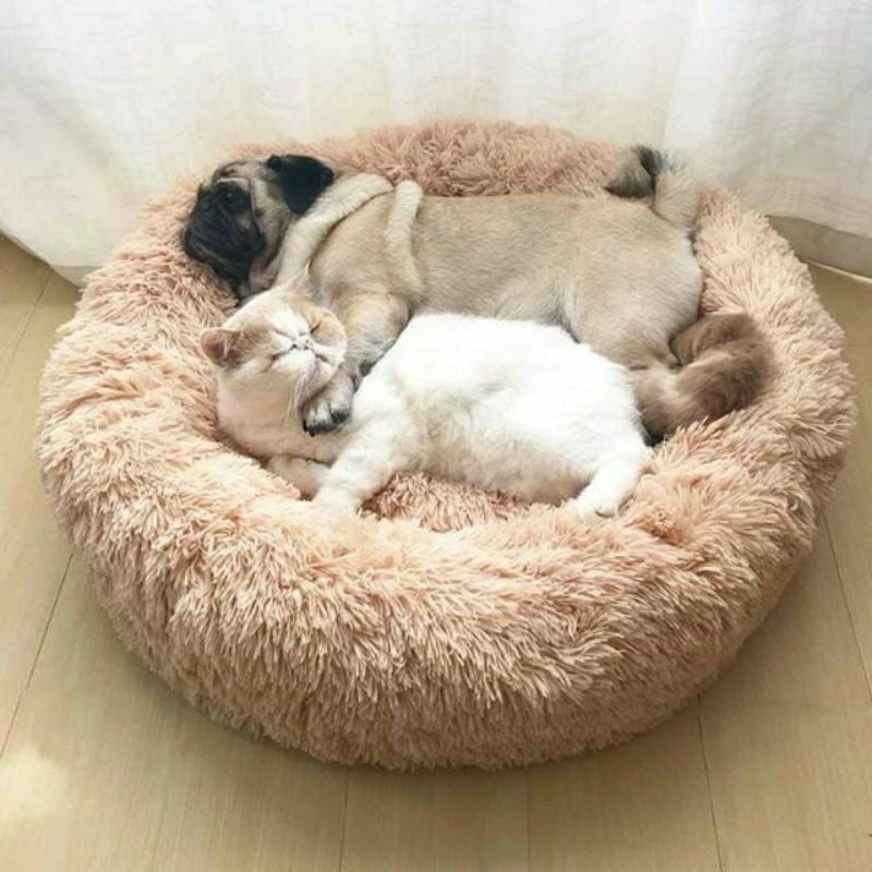 Tempat Tidur Anjing/Kucing Raksasa (75x75) Super Lembut dan menghangatkan Anabul