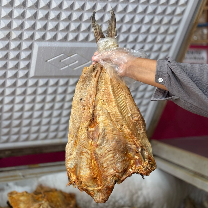 

Ikan Asin Jambal Roti Mantega Super khas Pangandaran