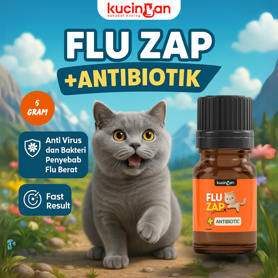[ MW - KUCINGAN ] Kucingan Flu Zap Obat Antibiotik Anti Bakteri Penybab Flu