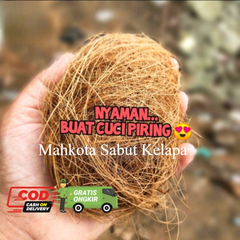 SABUT CUCI PIRING ALAMI SABUT KELAPA
