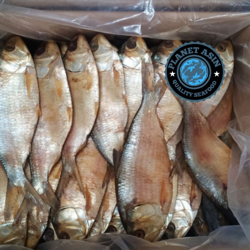 

Asin Blo/Ikan asin curintik