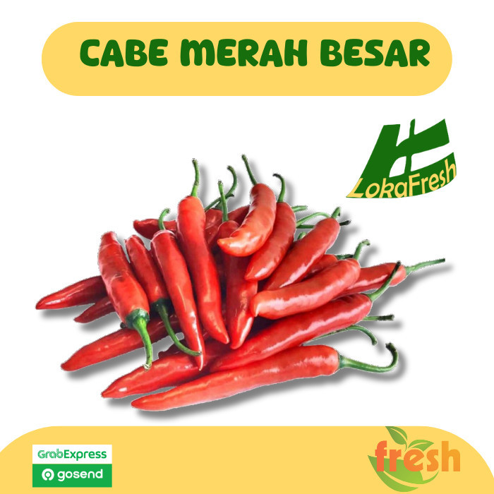 

Cabai Merah Besar Cabe Lombok
