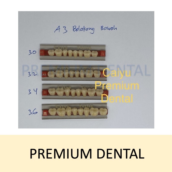 gigi palsu caiyu A3 belakang bawah