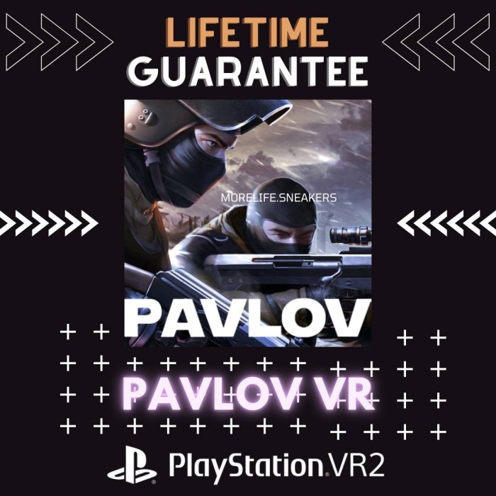 BEST -Pavlov VR,Game Sharing VR2 - Secondary
