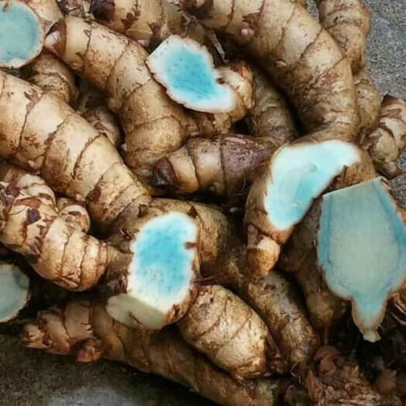 1kg kunyit hitam/temu ireng asli segar