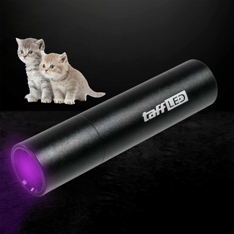 Senter UV Detektor Uang 365nm - Lampu Ultraviolet Rechargeable USB, Cek Uang Palsu, Urin Jamur & Nod